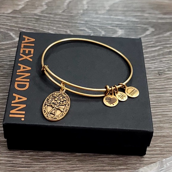 Alex and Ani Because I Love You Friend II Charm Bracelet - Picture 3 of 13